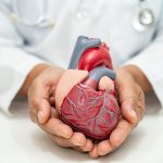 cardiovascular-disease-cvd-asian-doctor-holding-h-2024-01-23-00-09-24-utc-scaled
