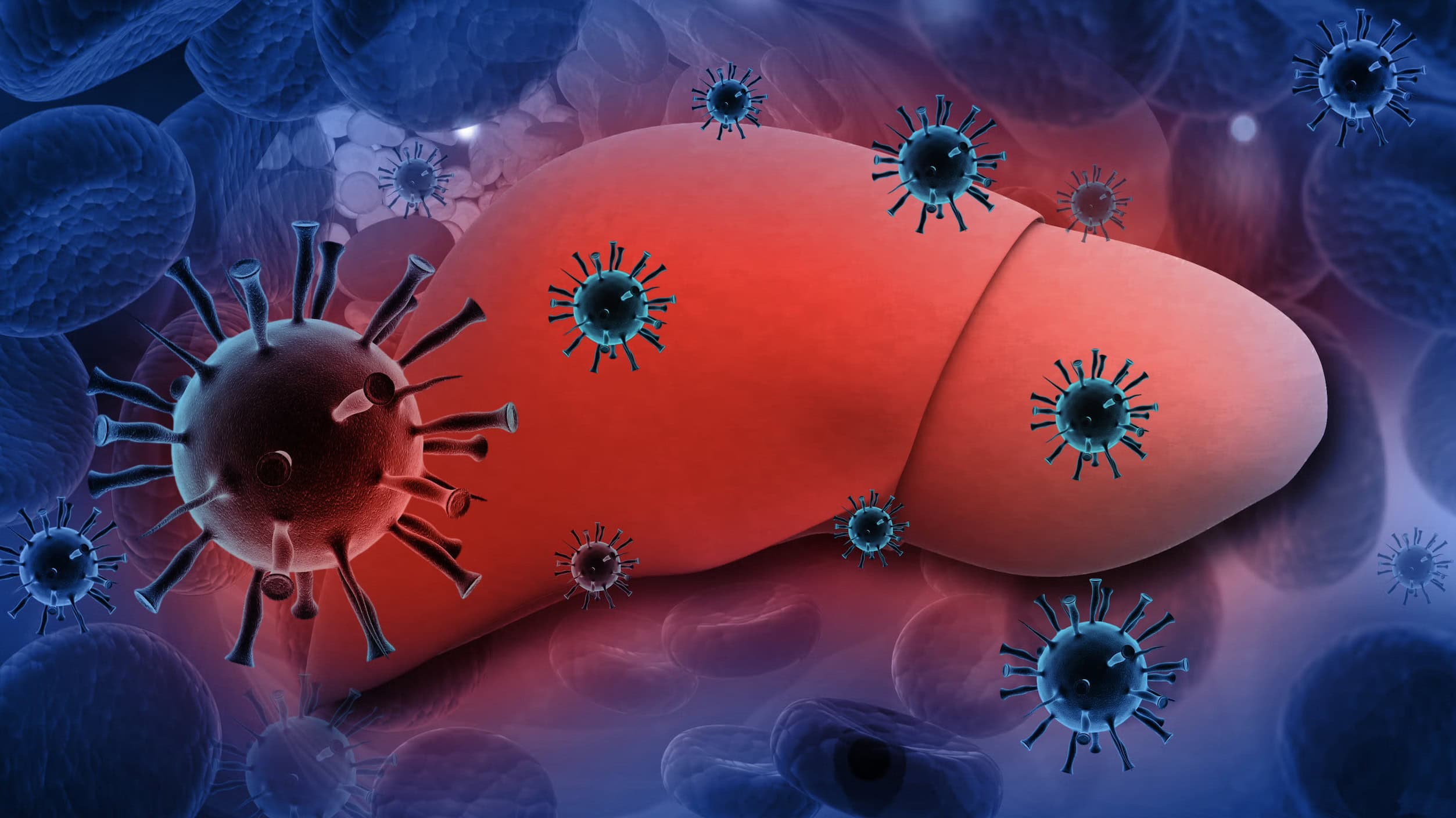 Virus hepatitidy A pod mikroskopem – útok na játra a důležitost prevence infekce