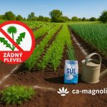 Odstranění plevele solí v zahradě – bez chemie.