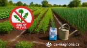 Odstranění plevele solí v zahradě – bez chemie.