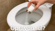 Ruka sype kuchyňskou sůl do záchodu jako přírodní čisticí prostředek